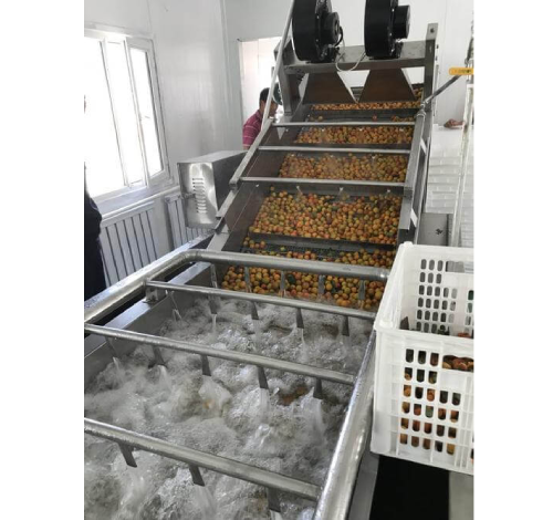 fruit washer